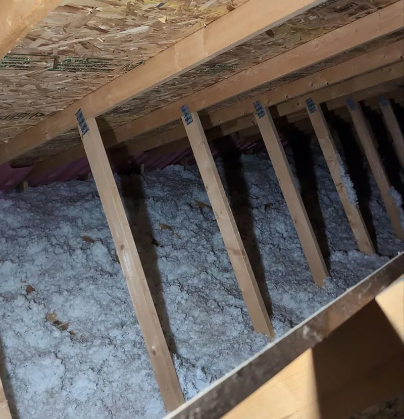A home exterior that benefits from attic insulation and ventilation upgrades.