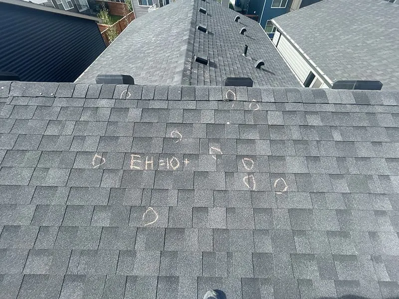 Dedicated Roofing team member working on a rooftop in Calgary.