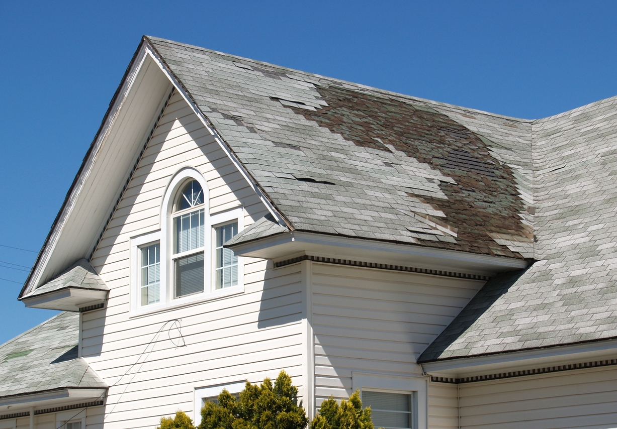 roof hail damage Dedicated Roofing Calgary